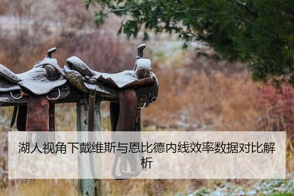 湖人视角下戴维斯与恩比德内线效率数据对比解析